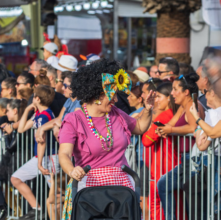 SANTA CRUZ DE TENERIFE, SPAIN - FEBRUARY 13, 2024: The Coso parade, Cavalcada - along the Avenida de Anaga, official end of Carnival. Amazing warm evening, joyful people in carnival costumes have fun.のeditorial素材