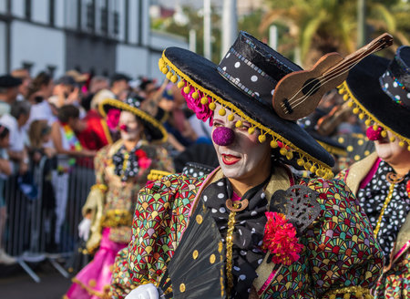 SANTA CRUZ DE TENERIFE, SPAIN - FEBRUARY 13, 2024: The Coso parade, Cavalcada - along the Avenida de Anaga, official end of Carnival. Amazing warm evening, joyful people in carnival costumes have fun.のeditorial素材