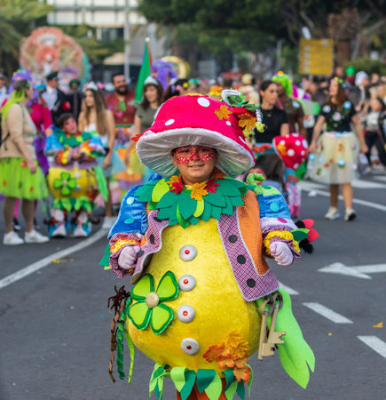 SANTA CRUZ DE TENERIFE, SPAIN - FEBRUARY 13, 2024: The Coso parade, Cavalcada - along the Avenida de Anaga, official end of Carnival. Amazing warm evening, joyful people in carnival costumes have fun.のeditorial素材