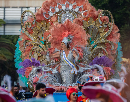 SANTA CRUZ DE TENERIFE, SPAIN - FEBRUARY 13, 2024: The Coso parade, Cavalcada - along the Avenida de Anaga, official end of Carnival. Amazing warm evening, joyful people in carnival costumes have fun.のeditorial素材