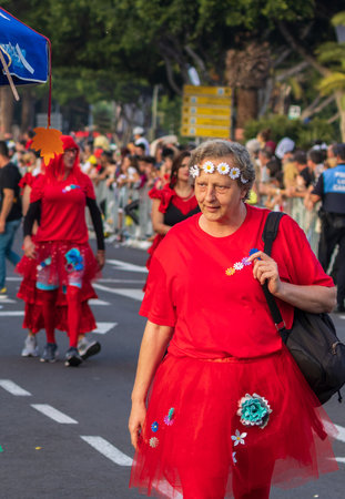 SANTA CRUZ DE TENERIFE, SPAIN - FEBRUARY 13, 2024: The Coso parade, Cavalcada - along the Avenida de Anaga, official end of Carnival. Amazing warm evening, joyful people in carnival costumes have fun.のeditorial素材