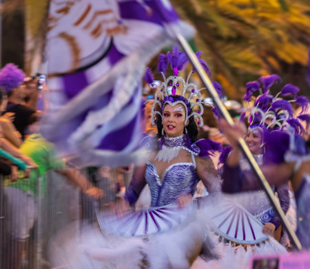 SANTA CRUZ DE TENERIFE, SPAIN - FEBRUARY 13, 2024: The Coso parade, Cavalcada - along the Avenida de Anaga, official end of Carnival. Amazing warm evening, joyful people in carnival costumes have fun.のeditorial素材