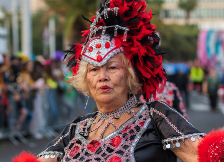 SANTA CRUZ DE TENERIFE, SPAIN - FEBRUARY 13, 2024: The Coso parade, Cavalcada - along the Avenida de Anaga, official end of Carnival. Amazing warm evening, joyful people in carnival costumes have fun.のeditorial素材