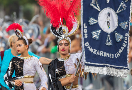 SANTA CRUZ DE TENERIFE, SPAIN - FEBRUARY 13, 2024: The Coso parade, Cavalcada - along the Avenida de Anaga, official end of Carnival. Amazing warm evening, joyful people in carnival costumes have fun.のeditorial素材