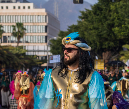 SANTA CRUZ DE TENERIFE, SPAIN - FEBRUARY 13, 2024: The Coso parade, Cavalcada - along the Avenida de Anaga, official end of Carnival. Amazing warm evening, joyful people in carnival costumes have fun.のeditorial素材