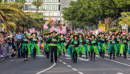 SANTA CRUZ DE TENERIFE, SPAIN - FEBRUARY 13, 2024: The Coso parade, Cavalcada - along the Avenida de Anaga, official end of Carnival. Amazing warm evening, joyful people in carnival costumes have fun.のeditorial素材