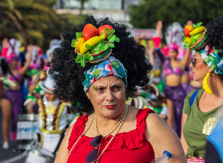 SANTA CRUZ DE TENERIFE, SPAIN - FEBRUARY 13, 2024: The Coso parade, Cavalcada - along the Avenida de Anaga, official end of Carnival. Amazing warm evening, joyful people in carnival costumes have fun.のeditorial素材