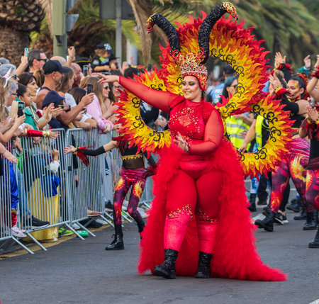 SANTA CRUZ DE TENERIFE, SPAIN - FEBRUARY 13, 2024: The Coso parade, Cavalcada - along the Avenida de Anaga, official end of Carnival. Amazing warm evening, joyful people in carnival costumes have fun.のeditorial素材