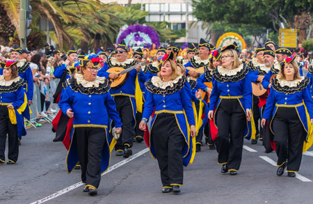 SANTA CRUZ DE TENERIFE, SPAIN - FEBRUARY 13, 2024: The Coso parade, Cavalcada - along the Avenida de Anaga, official end of Carnival. Amazing warm evening, joyful people in carnival costumes have fun.のeditorial素材