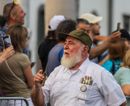 SANTA CRUZ DE TENERIFE, SPAIN - FEBRUARY 13, 2024: The Coso parade, Cavalcada - along the Avenida de Anaga, official end of Carnival. Amazing warm evening, joyful people in carnival costumes have fun.のeditorial素材