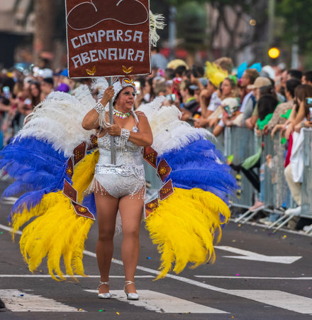 SANTA CRUZ DE TENERIFE, SPAIN - FEBRUARY 13, 2024: The Coso parade, Cavalcada - along the Avenida de Anaga, official end of Carnival. Amazing warm evening, joyful people in carnival costumes have fun.のeditorial素材