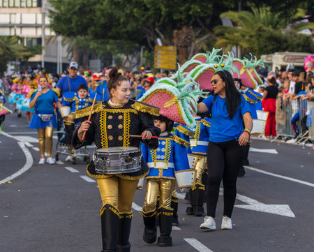 SANTA CRUZ DE TENERIFE, SPAIN - FEBRUARY 13, 2024: The Coso parade, Cavalcada - along the Avenida de Anaga, official end of Carnival. Amazing warm evening, joyful people in carnival costumes have fun.のeditorial素材