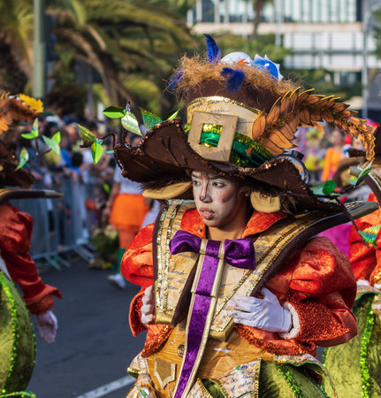 SANTA CRUZ DE TENERIFE, SPAIN - FEBRUARY 13, 2024: The Coso parade, Cavalcada - along the Avenida de Anaga, official end of Carnival. Amazing warm evening, joyful people in carnival costumes have fun.のeditorial素材