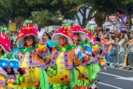 SANTA CRUZ DE TENERIFE, SPAIN - FEBRUARY 13, 2024: The Coso parade, Cavalcada - along the Avenida de Anaga, official end of Carnival. Amazing warm evening, joyful people in carnival costumes have fun.のeditorial素材