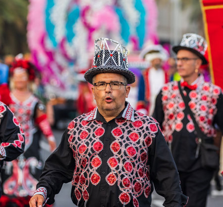 SANTA CRUZ DE TENERIFE, SPAIN - FEBRUARY 13, 2024: The Coso parade, Cavalcada - along the Avenida de Anaga, official end of Carnival. Amazing warm evening, joyful people in carnival costumes have fun.のeditorial素材