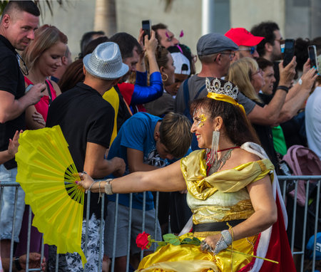 SANTA CRUZ DE TENERIFE, SPAIN - FEBRUARY 13, 2024: The Coso parade, Cavalcada - along the Avenida de Anaga, official end of Carnival. Amazing warm evening, joyful people in carnival costumes have fun.のeditorial素材