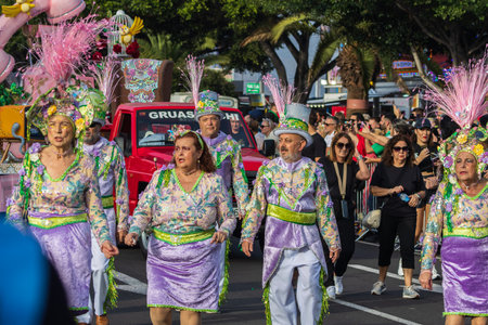SANTA CRUZ DE TENERIFE, SPAIN - FEBRUARY 13, 2024: The Coso parade, Cavalcada - along the Avenida de Anaga, official end of Carnival. Amazing warm evening, joyful people in carnival costumes have fun.のeditorial素材
