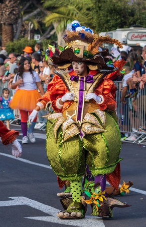 SANTA CRUZ DE TENERIFE, SPAIN - FEBRUARY 13, 2024: The Coso parade, Cavalcada - along the Avenida de Anaga, official end of Carnival. Amazing warm evening, joyful people in carnival costumes have fun.のeditorial素材