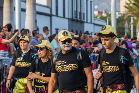 SANTA CRUZ DE TENERIFE, SPAIN - FEBRUARY 13, 2024: The Coso parade, Cavalcada - along the Avenida de Anaga, official end of Carnival. Amazing warm evening, joyful people in carnival costumes have fun.のeditorial素材