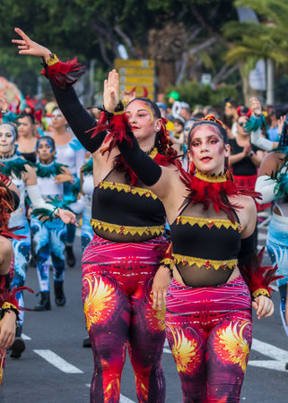 SANTA CRUZ DE TENERIFE, SPAIN - FEBRUARY 13, 2024: The Coso parade, Cavalcada - along the Avenida de Anaga, official end of Carnival. Amazing warm evening, joyful people in carnival costumes have fun.のeditorial素材
