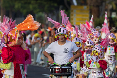 SANTA CRUZ DE TENERIFE, SPAIN - FEBRUARY 13, 2024: The Coso parade, Cavalcada - along the Avenida de Anaga, official end of Carnival. Amazing warm evening, joyful people in carnival costumes have fun.のeditorial素材
