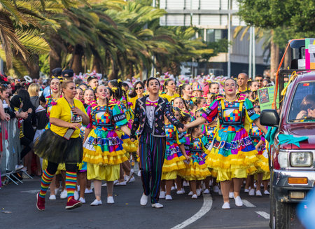 SANTA CRUZ DE TENERIFE, SPAIN - FEBRUARY 13, 2024: The Coso parade, Cavalcada - along the Avenida de Anaga, official end of Carnival. Amazing warm evening, joyful people in carnival costumes have fun.のeditorial素材