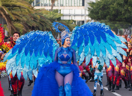SANTA CRUZ DE TENERIFE, SPAIN - FEBRUARY 13, 2024: The Coso parade, Cavalcada - along the Avenida de Anaga, official end of Carnival. Amazing warm evening, joyful people in carnival costumes have fun.のeditorial素材