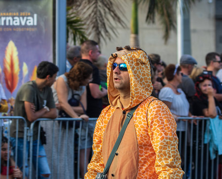 SANTA CRUZ DE TENERIFE, SPAIN - FEBRUARY 13, 2024: The Coso parade, Cavalcada - along the Avenida de Anaga, official end of Carnival. Amazing warm evening, joyful people in carnival costumes have fun.のeditorial素材