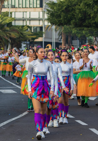 SANTA CRUZ DE TENERIFE, SPAIN - FEBRUARY 13, 2024: The Coso parade, Cavalcada - along the Avenida de Anaga, official end of Carnival. Amazing warm evening, joyful people in carnival costumes have fun.のeditorial素材