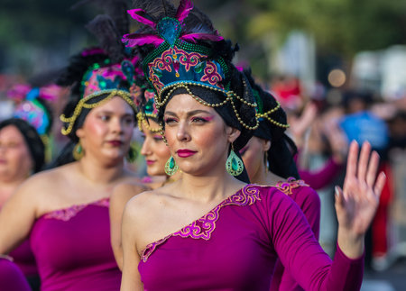 SANTA CRUZ DE TENERIFE, SPAIN - FEBRUARY 13, 2024: The Coso parade, Cavalcada - along the Avenida de Anaga, official end of Carnival. Amazing warm evening, joyful people in carnival costumes have fun.のeditorial素材