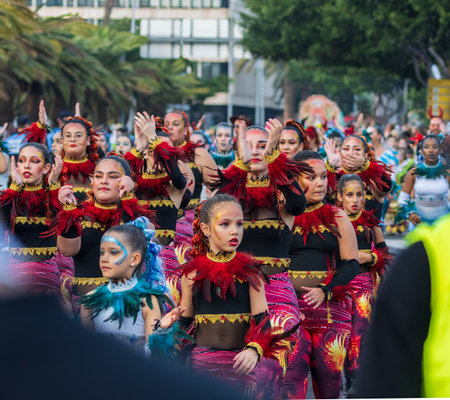 SANTA CRUZ DE TENERIFE, SPAIN - FEBRUARY 13, 2024: The Coso parade, Cavalcada - along the Avenida de Anaga, official end of Carnival. Amazing warm evening, joyful people in carnival costumes have fun.のeditorial素材