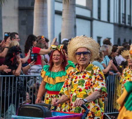 SANTA CRUZ DE TENERIFE, SPAIN - FEBRUARY 13, 2024: The Coso parade, Cavalcada - along the Avenida de Anaga, official end of Carnival. Amazing warm evening, joyful people in carnival costumes have fun.のeditorial素材