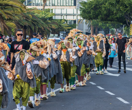 SANTA CRUZ DE TENERIFE, SPAIN - FEBRUARY 13, 2024: The Coso parade, Cavalcada - along the Avenida de Anaga, official end of Carnival. Amazing warm evening, joyful people in carnival costumes have fun.のeditorial素材