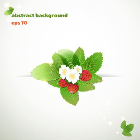 background with strawberries. Eco design  for floral .のイラスト素材
