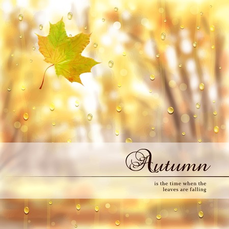 Vector illustration. Autumn composition with maple leaf. Rain drops on glass. Blurred misty background. Place for your text.のイラスト素材