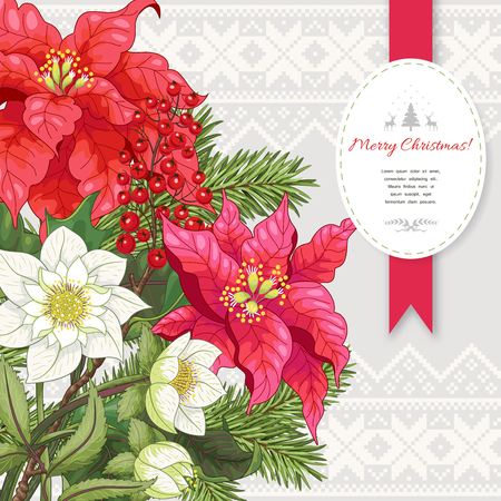 Vector card. Poinsettia flowers, berries, hellebore and fir-tree. Scandinavian ornament on backdrop. Christmas collection. Place for your text.のイラスト素材