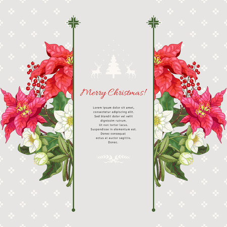 Vector card. Branches of poinsettia flowers, berries and hellebore on scandinavian ornament. Christmas collection. Place for your text.のイラスト素材