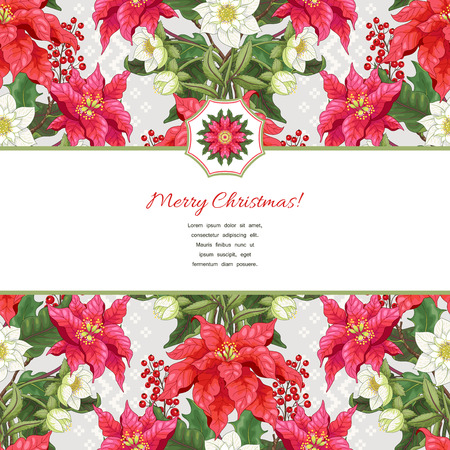 Vector card with ribbon for your text. Lines of poinsettia flowers, berries and hellebore. Scandinavian ornament on backdrop. Christmas collection.