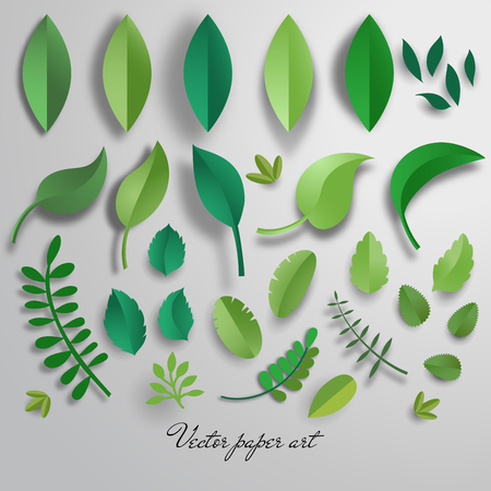 Vector set of paper cut leaves.のイラスト素材