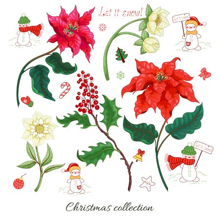 Set of Christmas star flowers,のイラスト素材