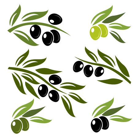 Green and black olives set logo on whiteのイラスト素材