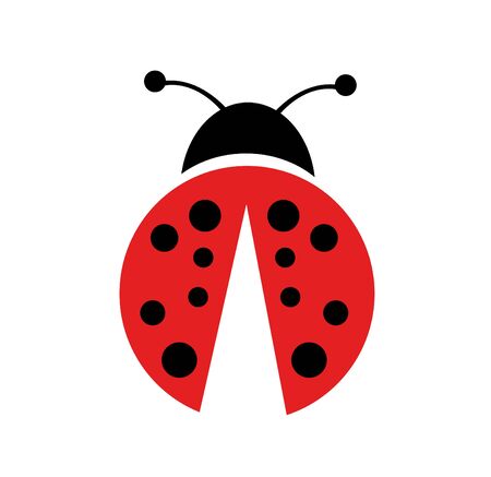 Ladybug vector illustration, isolated on white backgroundのイラスト素材