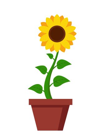 Sunflower icon isolated on white backgroundのイラスト素材