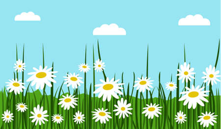 colorful spring flowers vector illustrationのイラスト素材