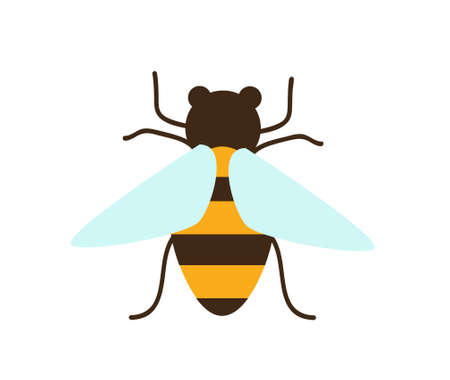 bee vector illustratiuon designのイラスト素材