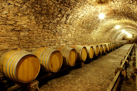 Old cellar of the winery
Barrels of wine in the future
Huge warehouse wineの写真素材