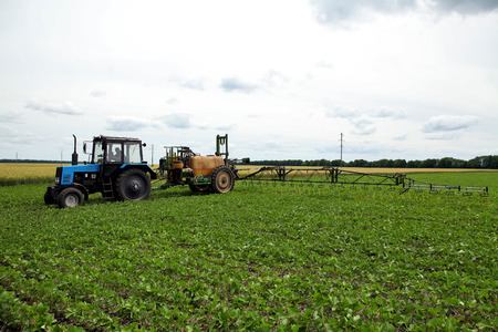 An innovative method of growing grain wheat, soybeans, corn. Hand men on the background field. Humus...
