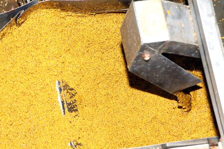 Mustard Powder Factory Making mustard mass from mustard seeds. Innovative equipment for the...