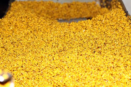Mustard Powder Factory Making mustard mass from mustard seeds. Innovative equipment for the industrial production.の写真素材