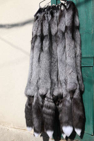 Finished skins from animals. Mink, arctic fox skins from animals. mink farm. Fur coat, dearの写真素材